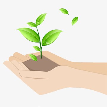 手捧图片素材-手捧图片图片元素-觅元素