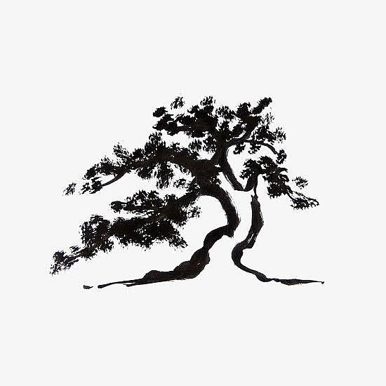 中国风松树