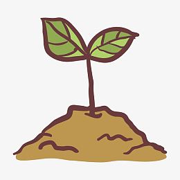 手绘植物