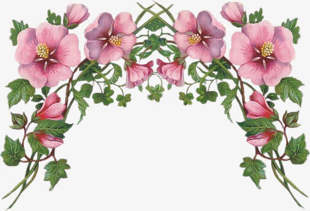 手绘花素描复古素材唯美花藤