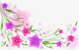 粉紫色花藤