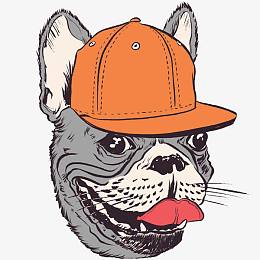 斗牛犬