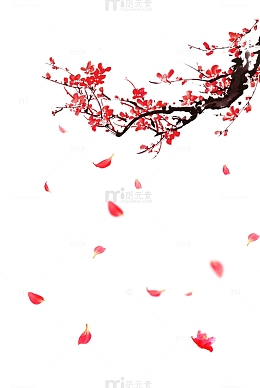 梅花飘落素材