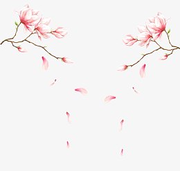 美丽复古梅花