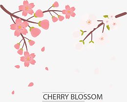 中国梅花矢量