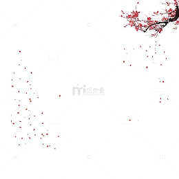 漂浮的梅花