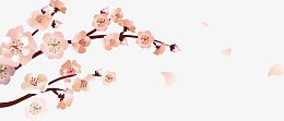 手绘梅花