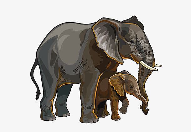 大象跟小象素材图片