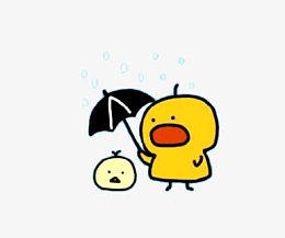 雨中鸡母子