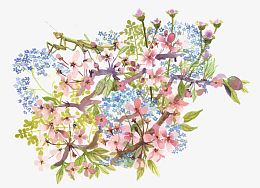 矢量木棉花