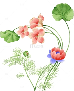卡通可爱荷花