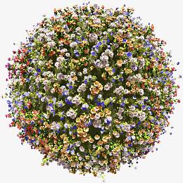 梦幻地球环保 花球