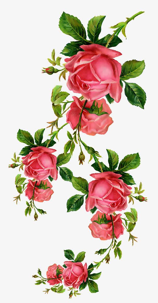 卡通手绘鲜花玫瑰