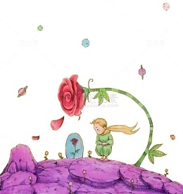 小王子与玫瑰花
