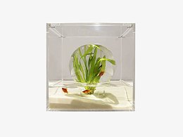 透明罩子里的植物素材照片