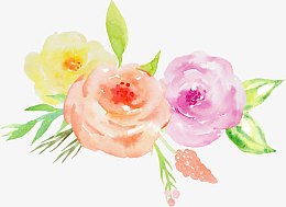 粉色橙色黄色玫瑰装饰图案