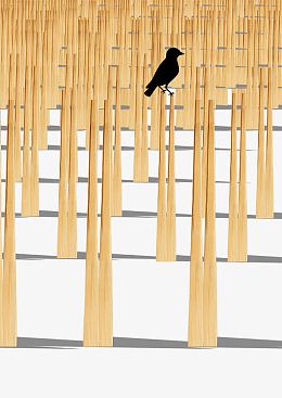 一次性筷子破坏森林