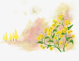 小雏菊手绘
