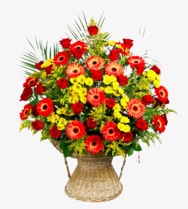 关键词 : 篮子,非洲菊,菊花,雏菊,植物,花卉,高清免费png,png图片