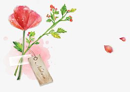 浪漫唯美花朵花瓣