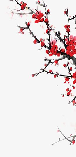 中国风腊梅