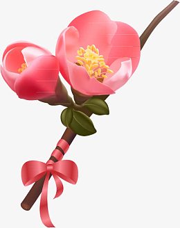 一支梅花