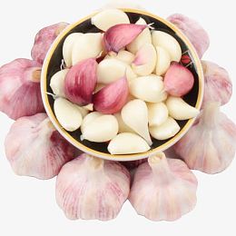 紫皮蒜紫皮蒜