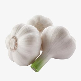 圆形大蒜免费下载