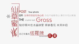 冬季个性英文文案排版