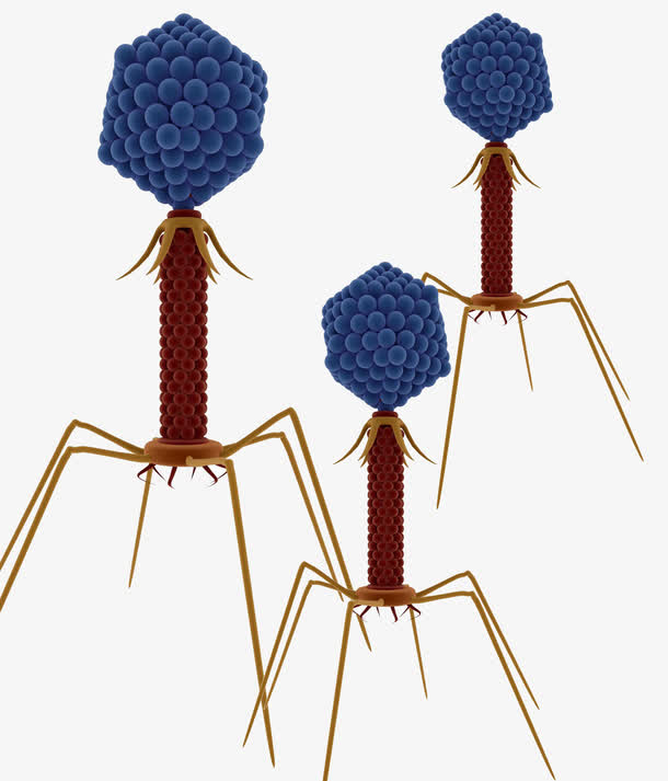 纳米生物机器人