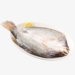 盐鲜鲈鱼海鲜鱼类水产