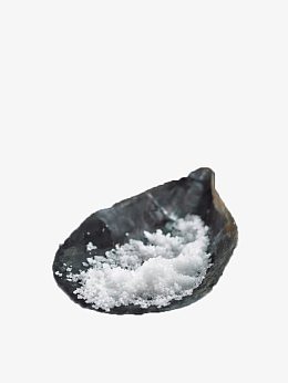 蚌壳里的海盐