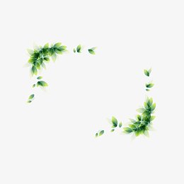 花纹