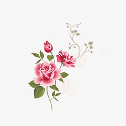 鲜花