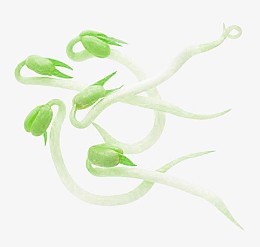 一堆新鲜的绿豆芽高清图