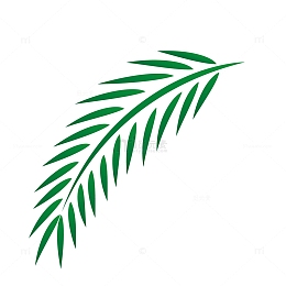复活节棕榈叶