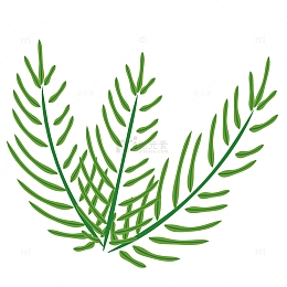 复活节棕榈叶