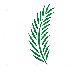 复活节棕榈叶