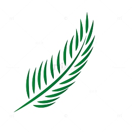 绿色矢量棕榈