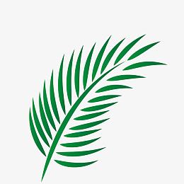 矢量棕榈叶