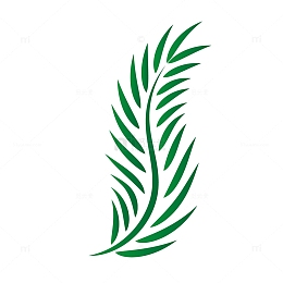 棕榈叶绿色矢量装饰