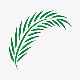 矢量棕榈叶