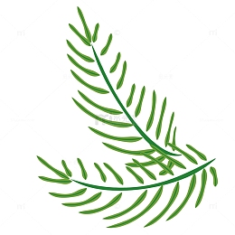 复活节棕榈叶
