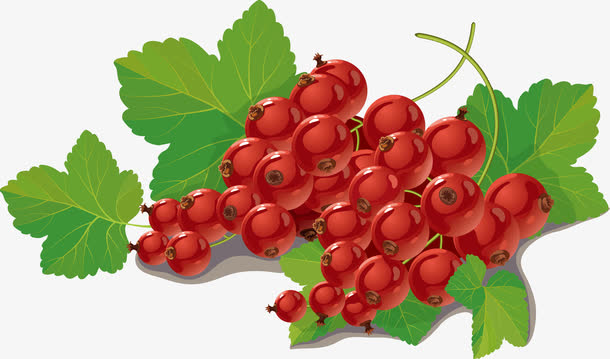 红色果子矢量图