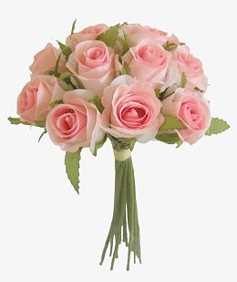 花朵图片素材唯美花卉图片 手捧