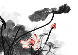 水墨莲花