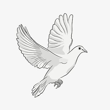 手绘剪影鸽子psdpng国庆国潮中国风手绘插画png素描手绘和平鸽侧写p