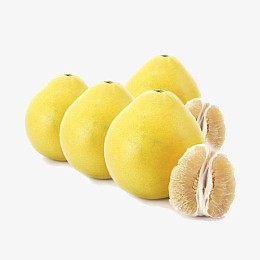 精品平和琯溪蜜柚