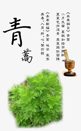 青蒿宣传彩页图片