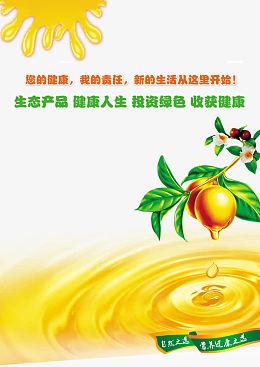 茶籽油海报